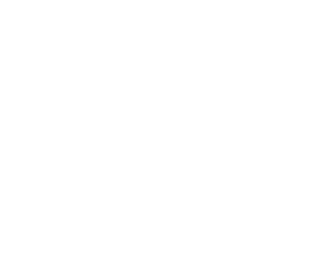 Loading Icon